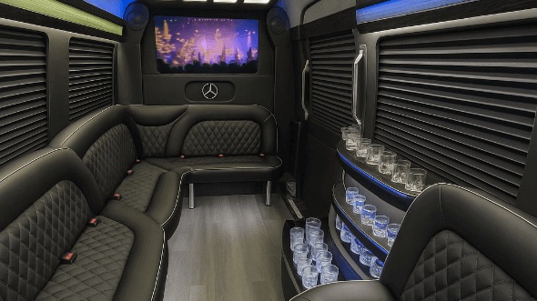 Interior of Charter Bus Company Riverview's 15 Passenger Party Bus in Riverview