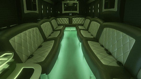 Interior of Charter Bus Company Riverview's 20 Passenger Party Bus in Riverview