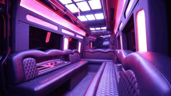 clearwater 14 passenger sprinter limousine inside