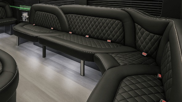 clearwater 14 passenger sprinter limousine interior