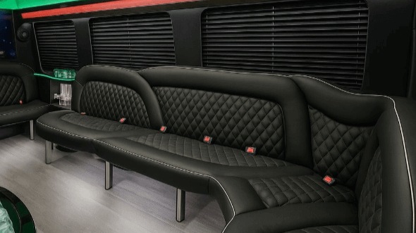 clearwater 14 passenger sprinter limousine rental