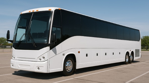 clearwater 40 passenger party bus