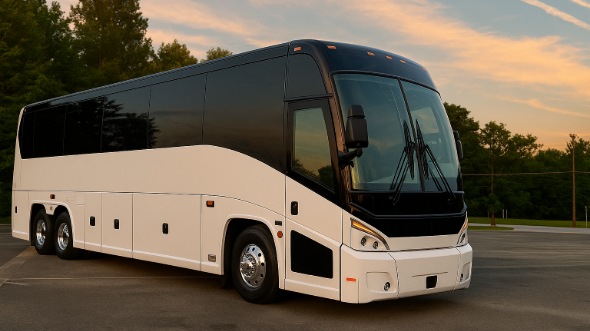 palm harbor airport shuttles