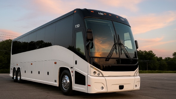 palm harbor bachelor and bachelorette party bus rentals